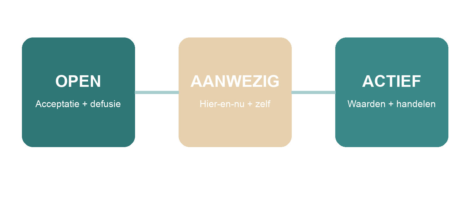 De drie pijlers binnen ACT: aanwezig zijn, openstellen en doen wat werkt