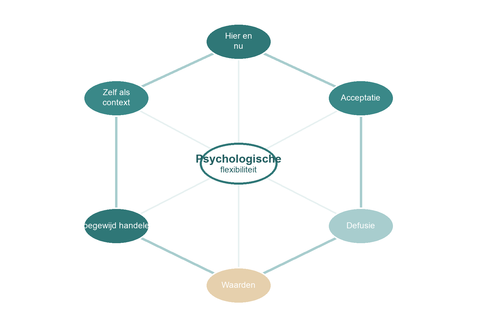 ACT hexaflex met de zes kernprocessen van psychologische flexibiliteit